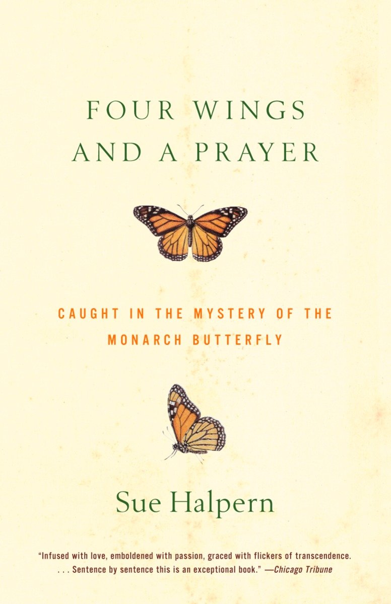 Four Wings and a Prayer-Nature and the natural world: general interest-買書書 BuyBookBook