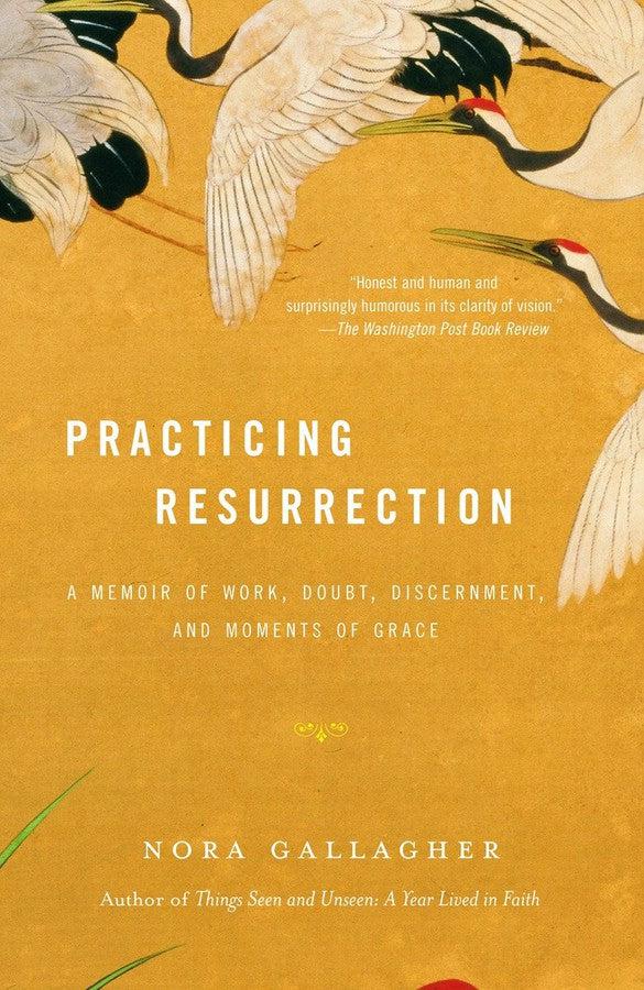 Practicing Resurrection-Religion and beliefs-買書書 BuyBookBook