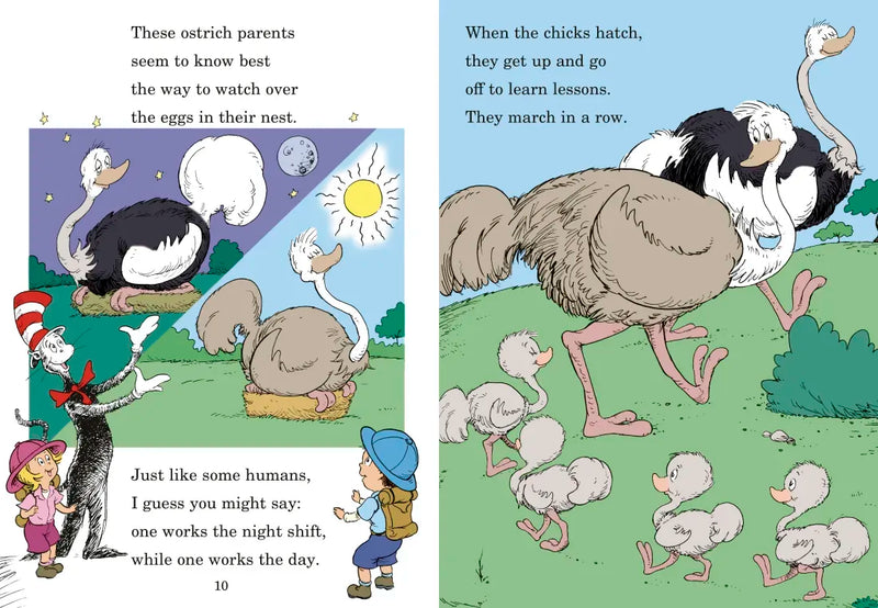 A Great Day for Pup: All About Wild Babies US - Hardback (9780375810961)