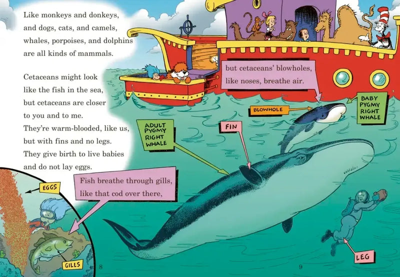 A Whale of a Tale! All About Porpoises, Dolphins, and Whales US - Hardback (9780375822797)