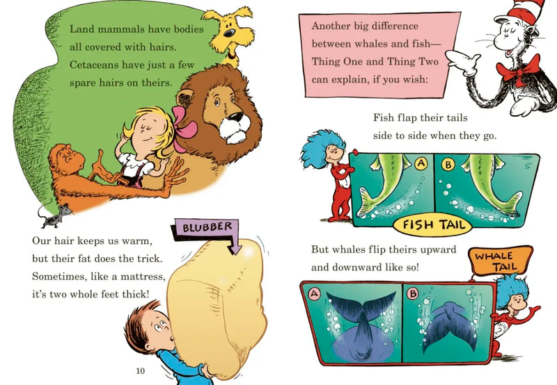 A Whale of a Tale! All About Porpoises, Dolphins, and Whales US - Hardback (9780375822797)