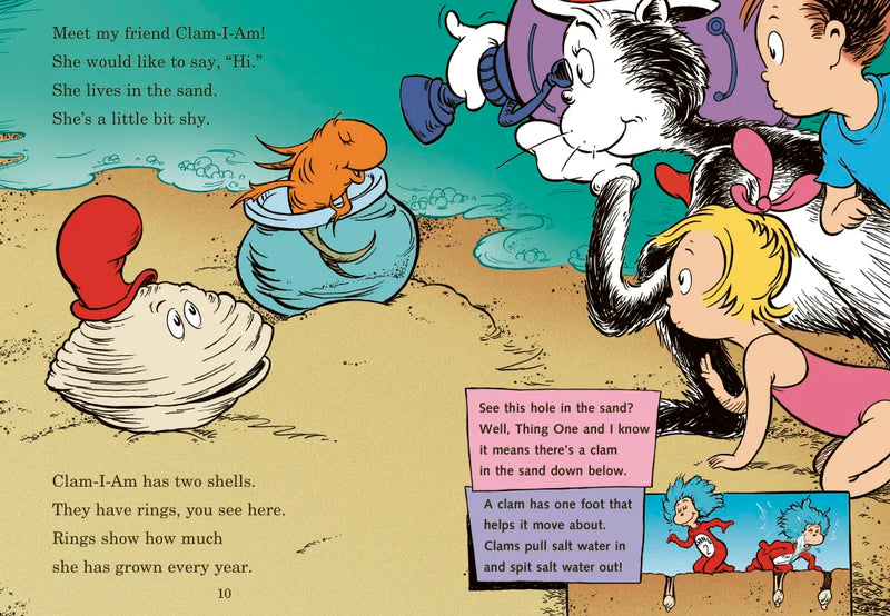 Clam-I-Am! All About the Beach US - Hardback (9780375822803)