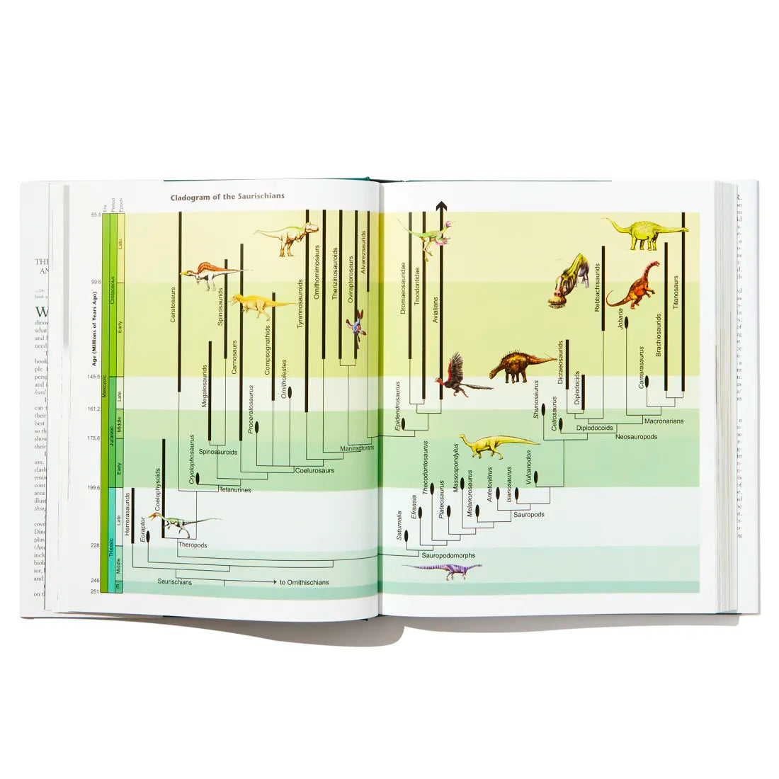 Dinosaurs US - Hardback