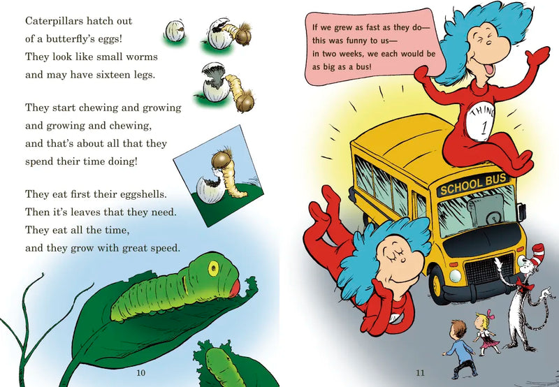 My, Oh My--A Butterfly! All About Butterflies US - Hardback