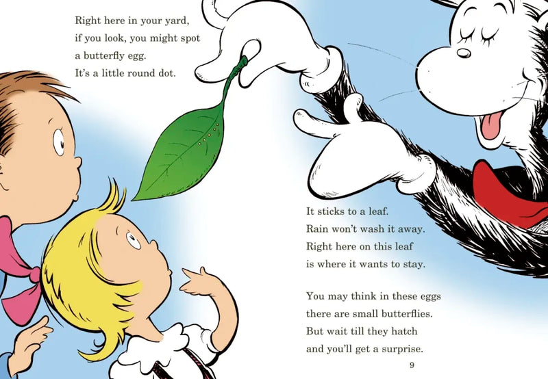 My, Oh My--A Butterfly! All About Butterflies US - Hardback