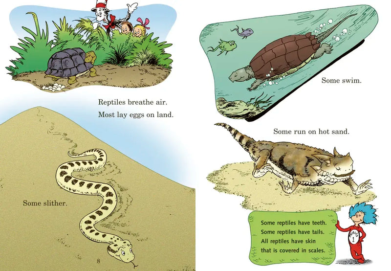 Miles and Miles of Reptiles: All About Reptiles US - Hardback (9780375828843)