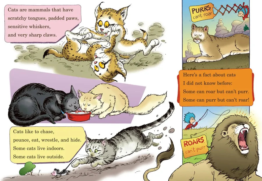 What Cat Is That? All About Cats US - Hardback (9780375866401)