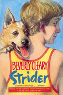Strider-Children’s / Teenage fiction: General and modern fiction-買書書 BuyBookBook
