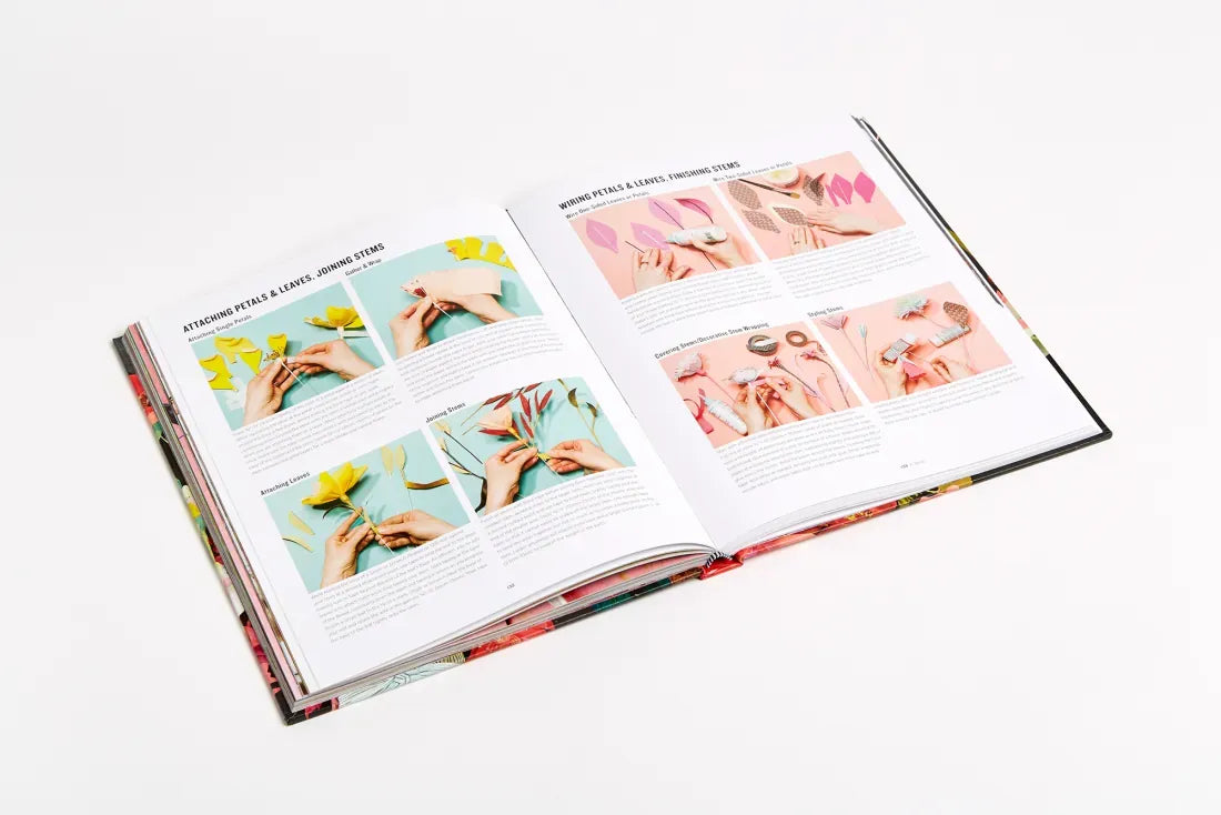 Paper to Petal US - Hardback