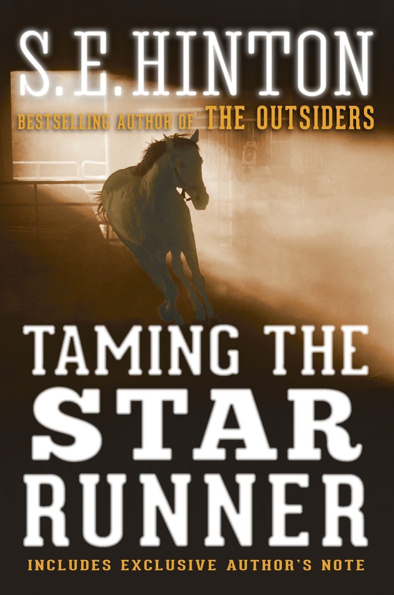 Taming the Star Runner-Children’s / Teenage fiction: General and modern fiction-買書書 BuyBookBook