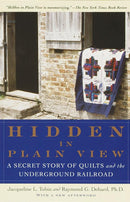 Hidden in Plain View-Society/ culture/ social sciences-買書書 BuyBookBook