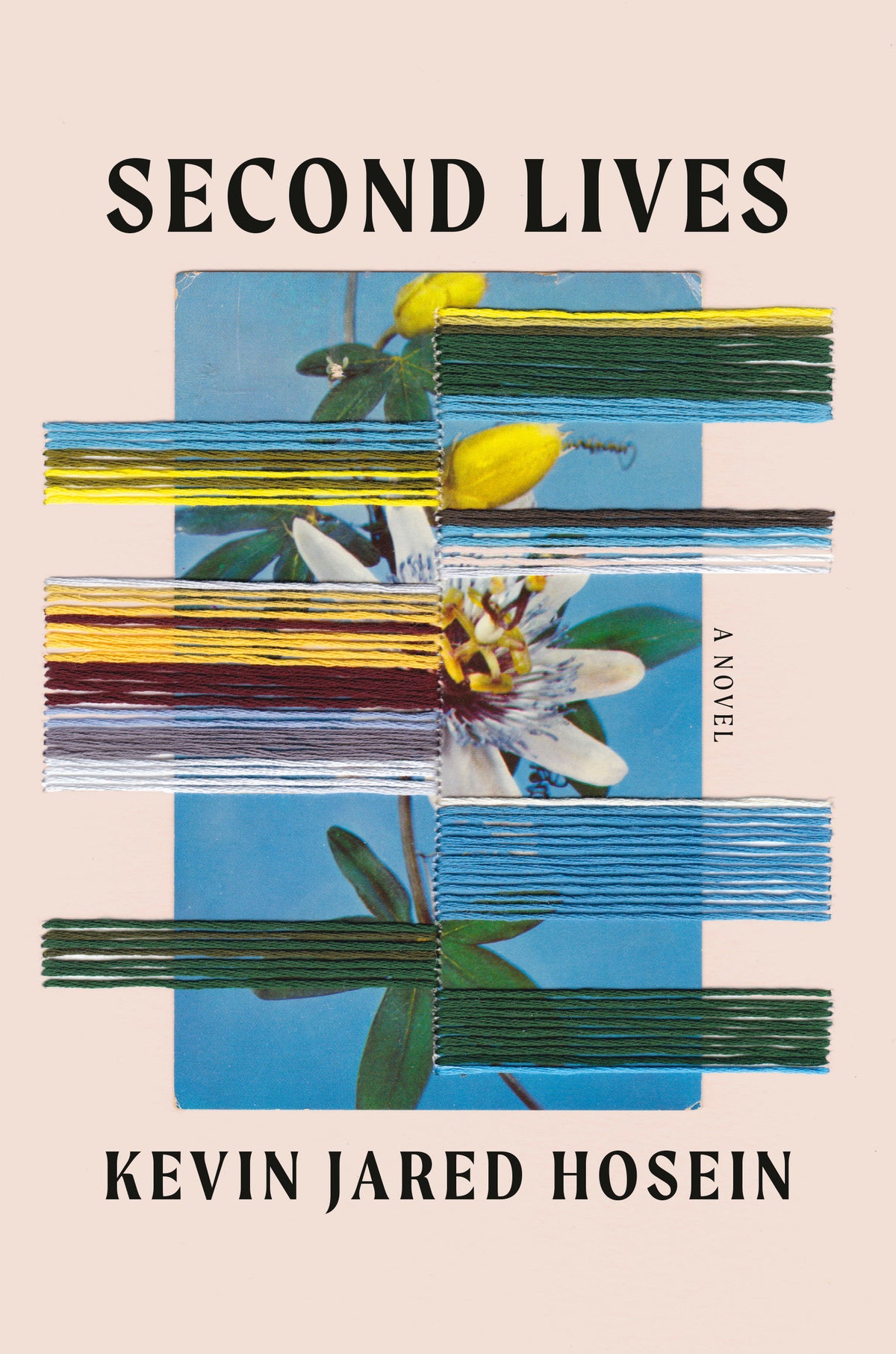 Second Lives cover (ISBN 9780385553056)