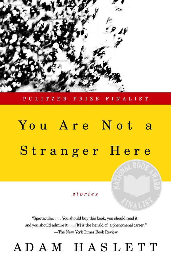 You Are Not a Stranger Here-Fiction: Short stories and other special features-買書書 BuyBookBook