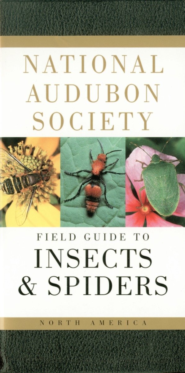 National Audubon Society Field Guide to Insects and Spiders-Nature and the natural world: general interest-買書書 BuyBookBook