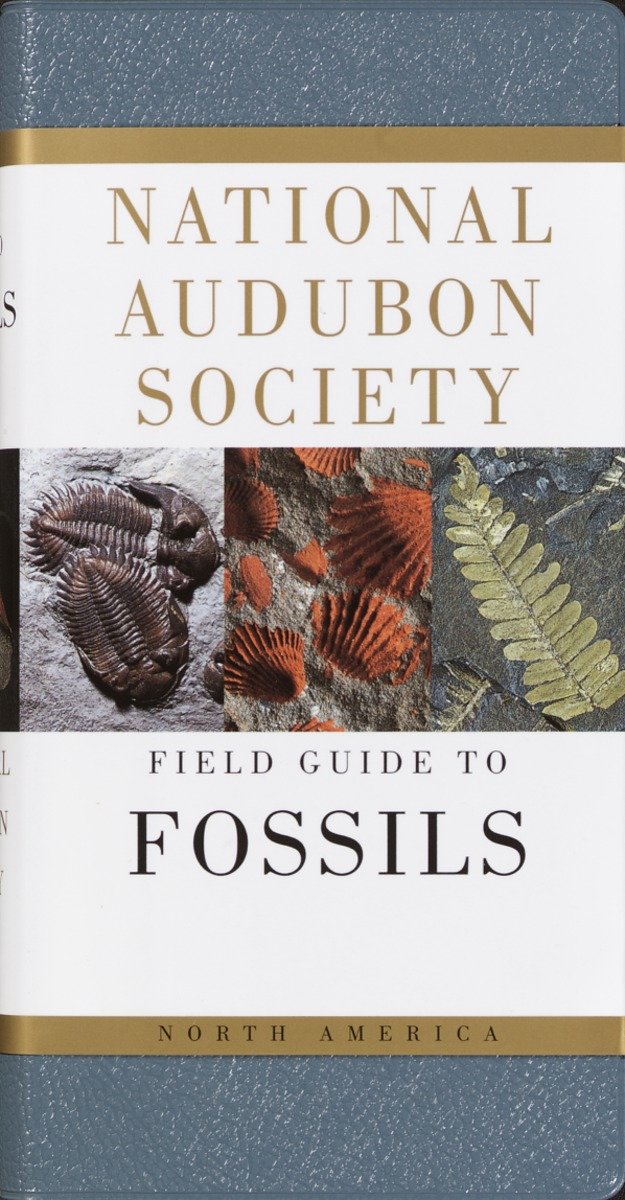 National Audubon Society Field Guide to Fossils-Nature and the natural world: general interest-買書書 BuyBookBook