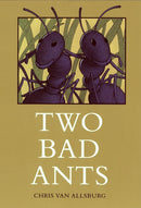 Two Bad Ants-Children’s Early years / early learning concepts-買書書 BuyBookBook