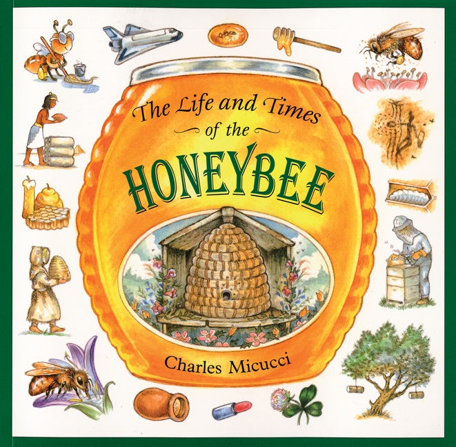 The Life and Times of the Honeybee-Children’s / Teenage general interest: Nature and animals-買書書 BuyBookBook