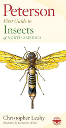 Peterson First Guide To Insects Of North America-Reference/ Information/ Interdisciplinary subjects-買書書 BuyBookBook