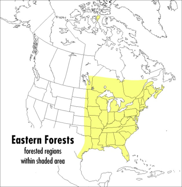 A Peterson Field Guide To Eastern Forests-History and Archaeology-買書書 BuyBookBook