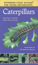 Caterpillars-Children’s / Teenage general interest: Nature and animals-買書書 BuyBookBook