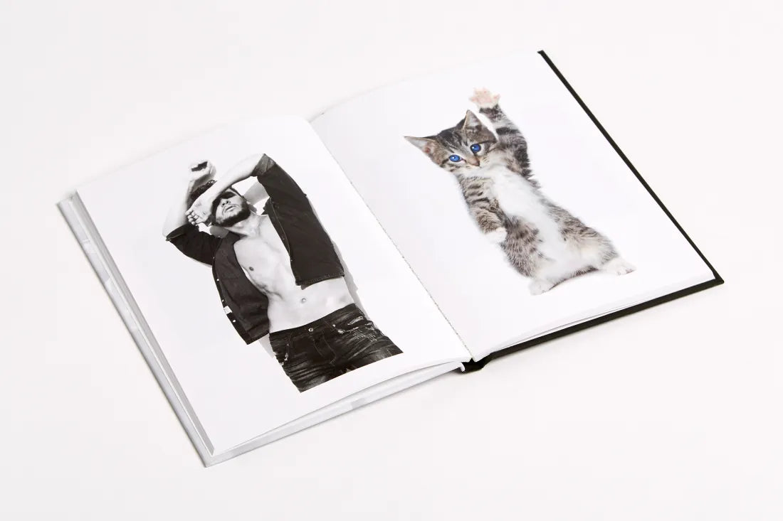 Men & Cats US - Hardback