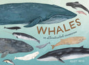 Whales-Nature and the natural world: general interest-買書書 BuyBookBook