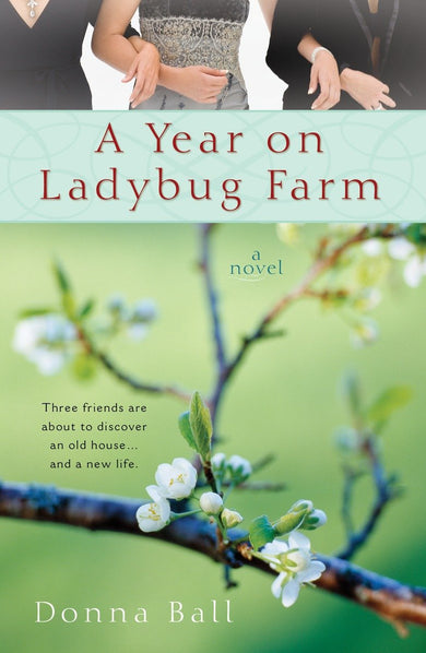A Year on Ladybug Farm-Fiction: general and literary-買書書 BuyBookBook