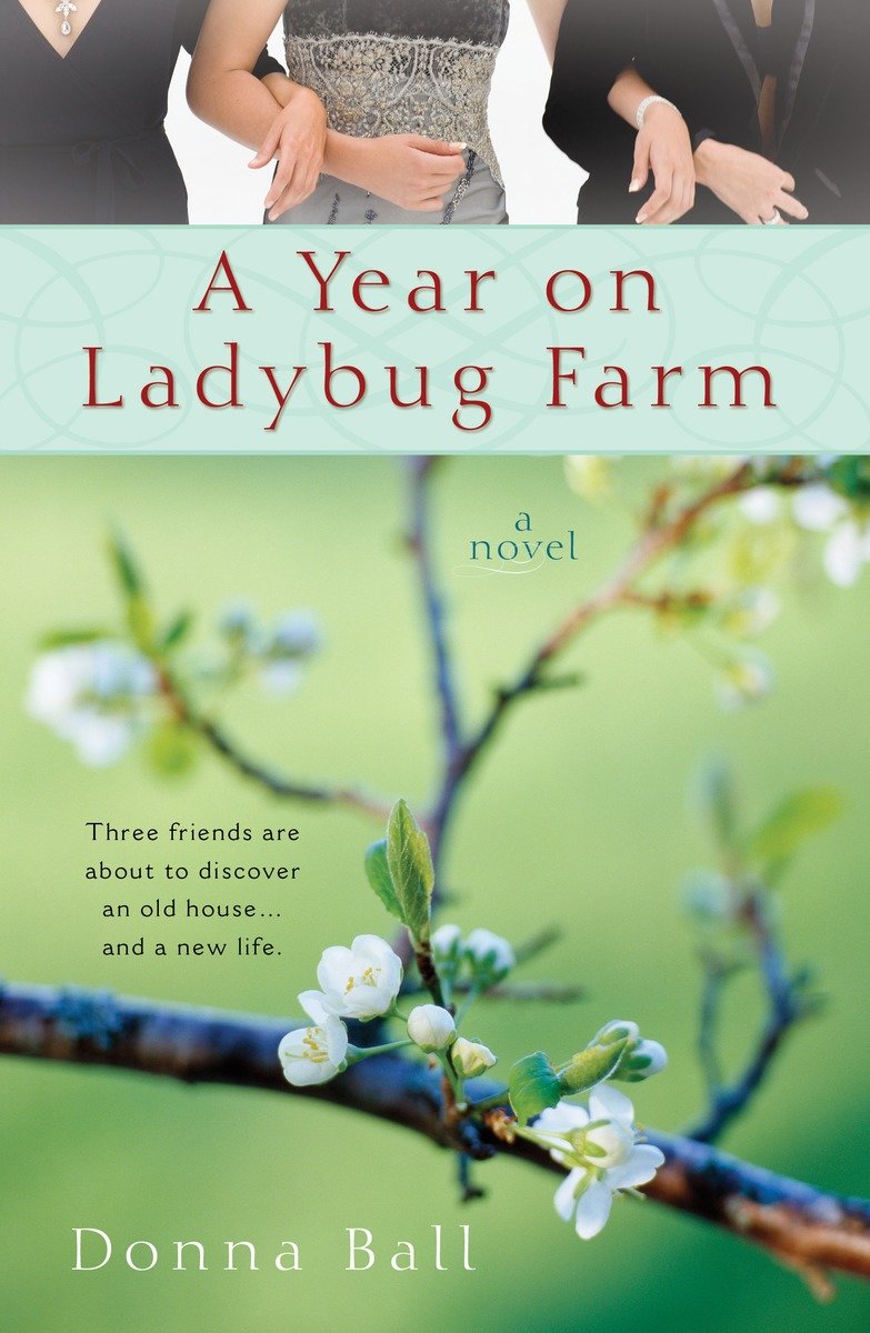 A Year on Ladybug Farm-Fiction: general and literary-買書書 BuyBookBook