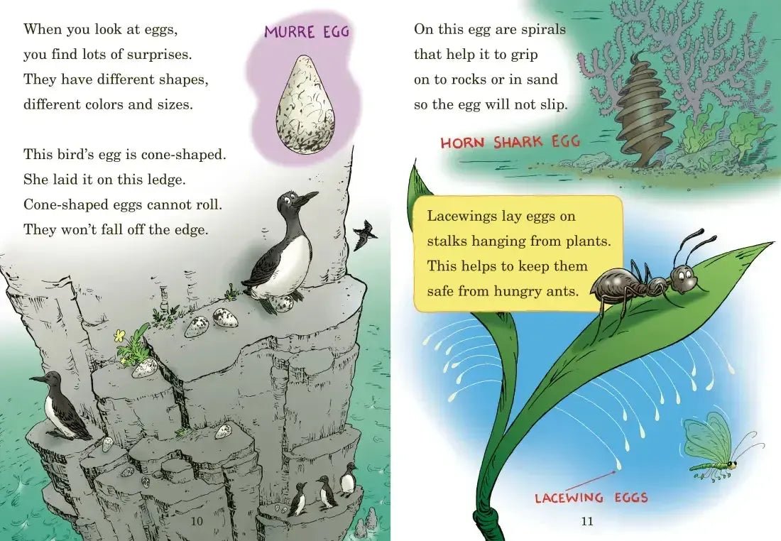 Who Hatches the Egg? All About Eggs US - Hardback (9780449814987)
