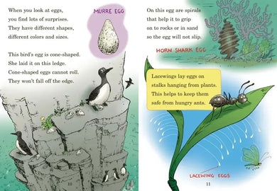 Who Hatches the Egg? All About Eggs US - Hardback (9780449814987)