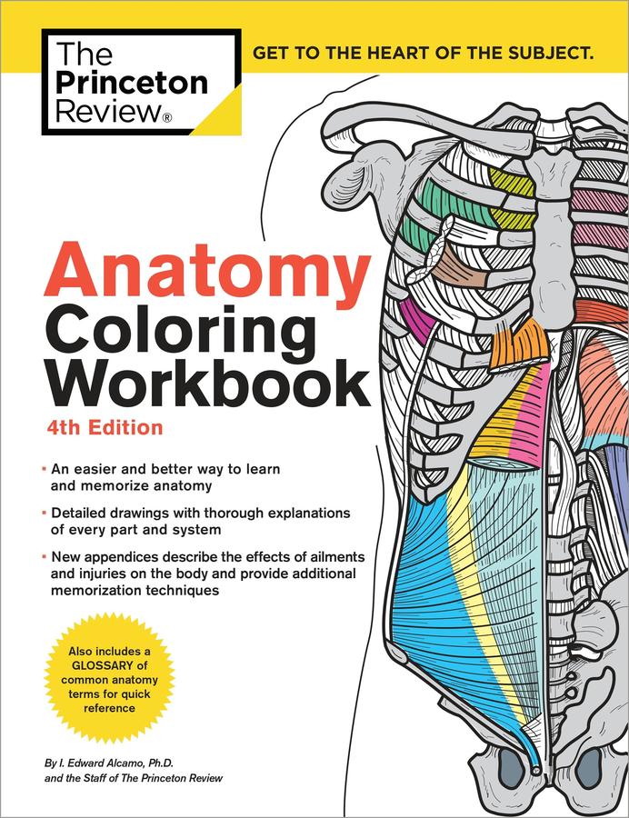Anatomy Coloring Workbook, 4th Edition-Medicine and Nursing-買書書 BuyBookBook
