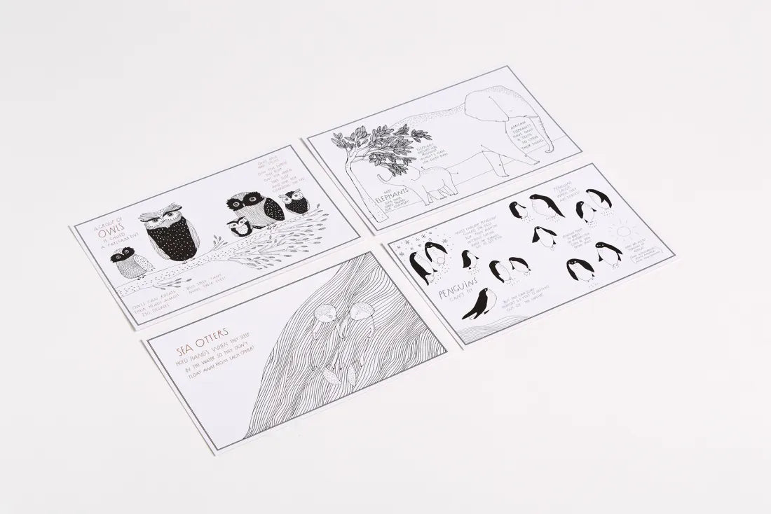 Amazing Animal Facts Postcards US - Cards
