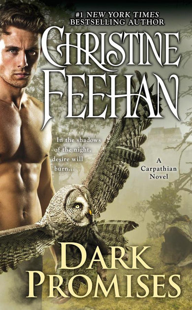 Dark Promises-Fiction: Romance-買書書 BuyBookBook
