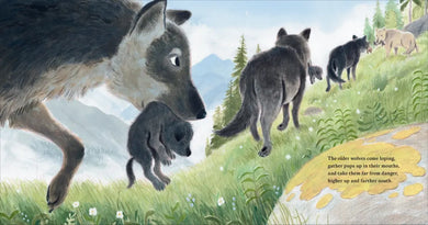 Full Moon Pups US - Hardback