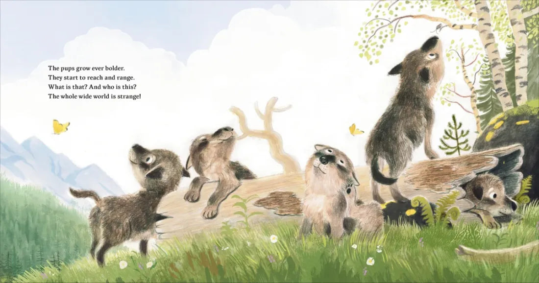 Full Moon Pups US - Hardback