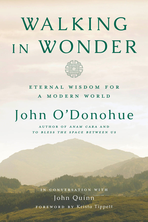 Walking in Wonder-Religion and beliefs-買書書 BuyBookBook