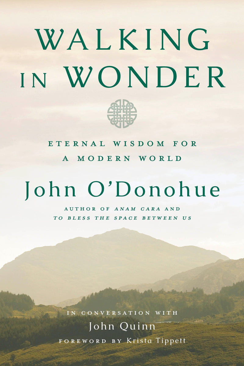 Walking in Wonder-Religion and beliefs-買書書 BuyBookBook