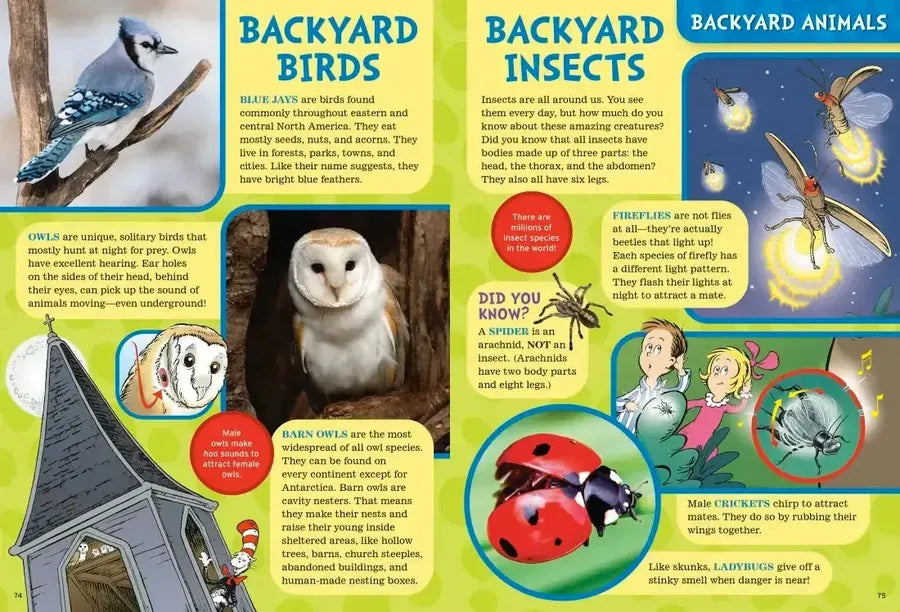 The Cat in the Hat's Learning Library Super-Dee-Dooper Book of Animal Facts US - Hardback