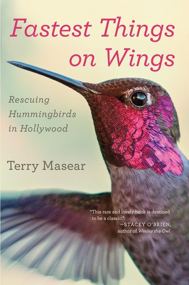Fastest Things On Wings