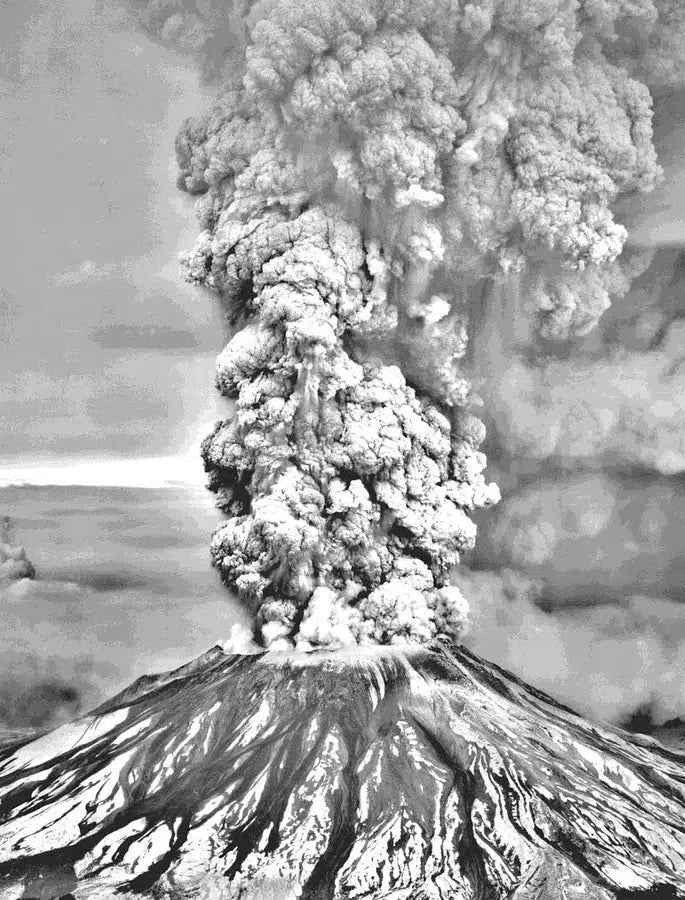 I Survived #14 the Eruption of Mount St. Helens, 1980 (Lauren Tarshis)-Fiction: 歷史故事 Historical-買書書 BuyBookBook