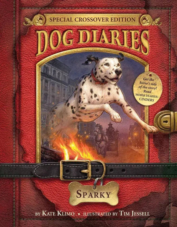 Dog Diaries #9: Sparky (Dog Diaries Special Edition)-Children’s / Teenage fiction: Nature and animal stories-買書書 BuyBookBook