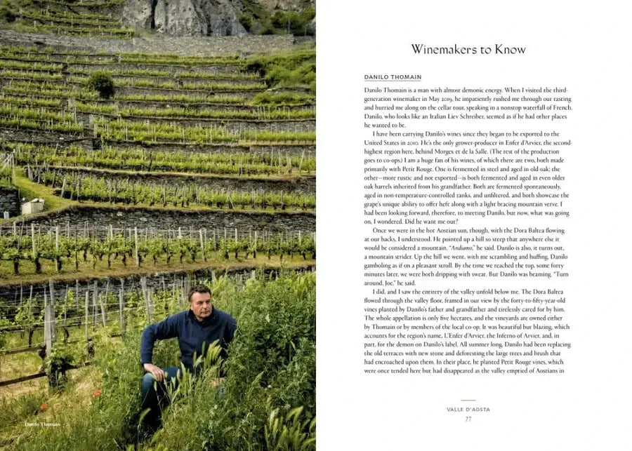 Vino US - Hardback