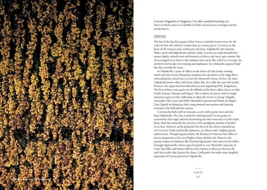 Vino US - Hardback