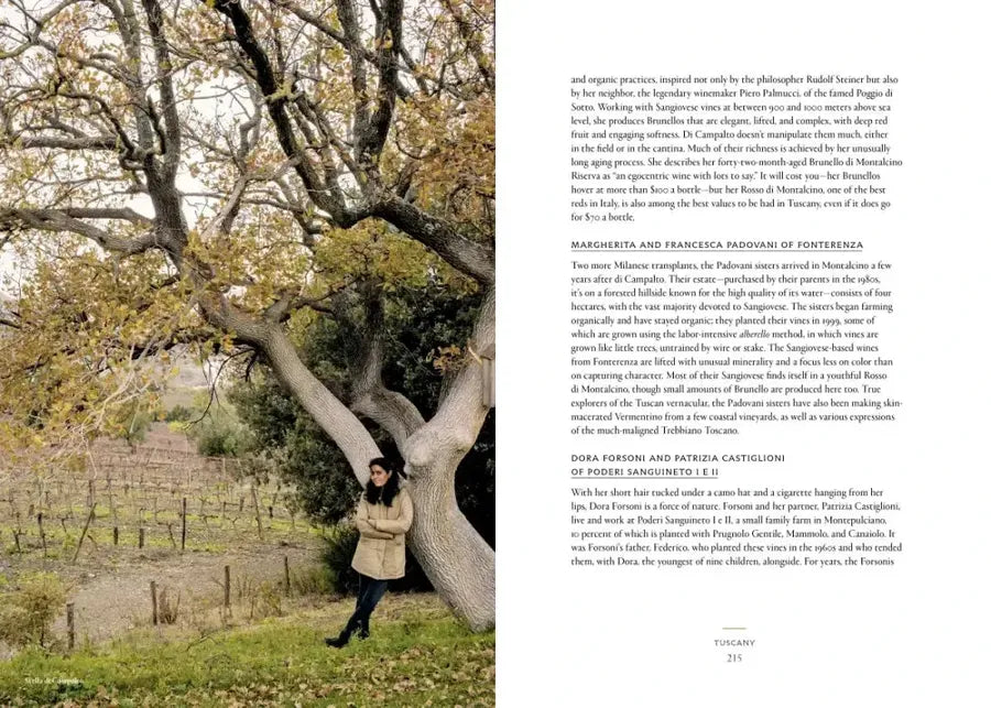 Vino US - Hardback