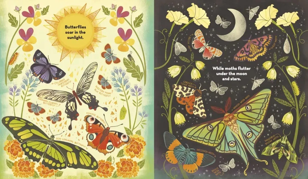 What's Inside a Caterpillar Cocoon? US - Hardback (9780593176573)
