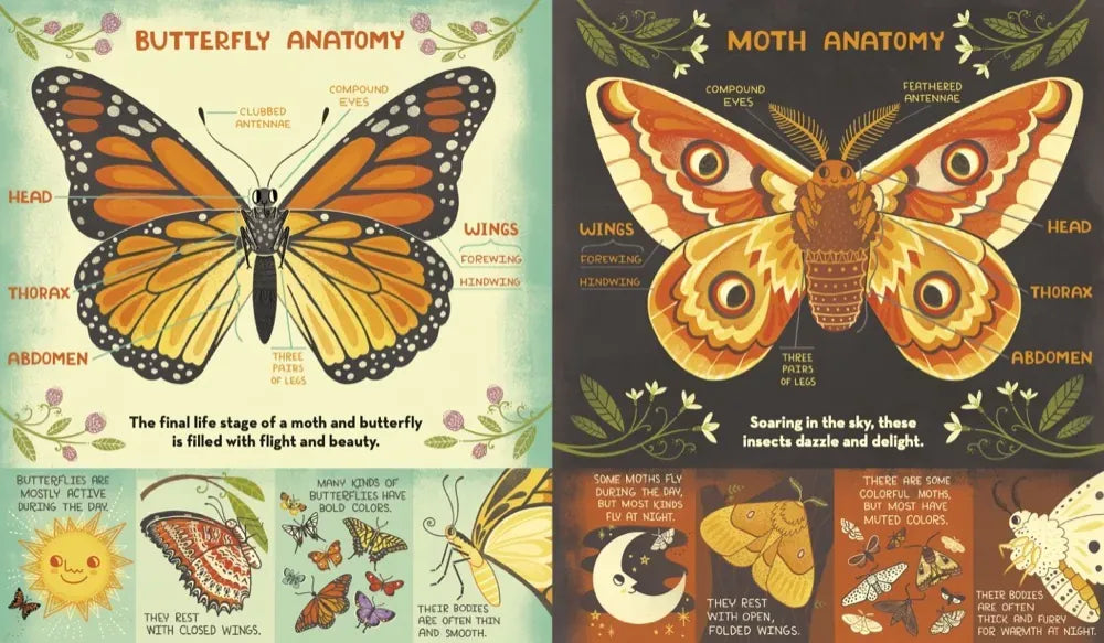 What's Inside a Caterpillar Cocoon? US - Hardback (9780593176573)