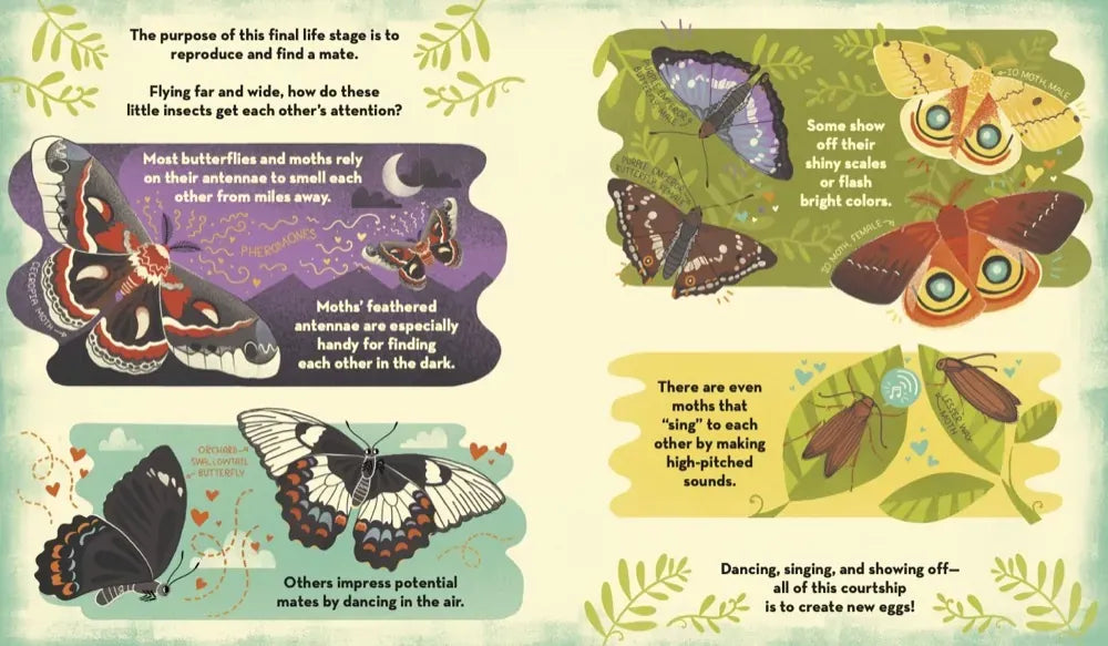What's Inside a Caterpillar Cocoon? US - Hardback (9780593176573)