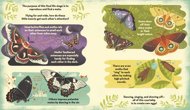 What's Inside a Caterpillar Cocoon? US - Hardback (9780593176573)