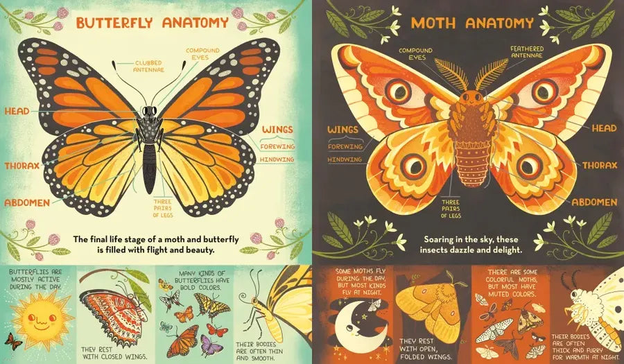What's Inside a Caterpillar Cocoon? US - Paperback / softback