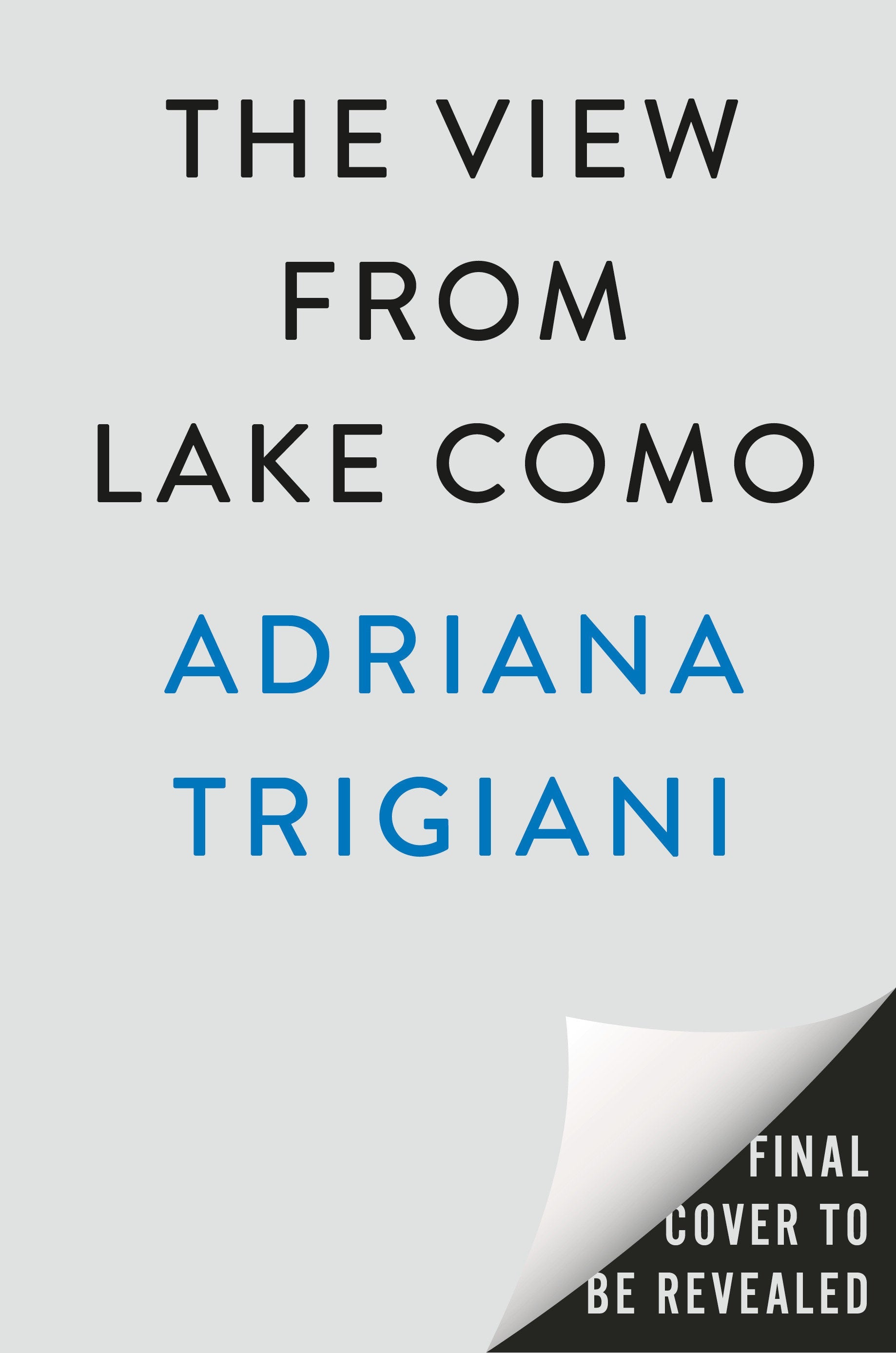 The View From Lake Como-Fiction: general and literary-買書書 BuyBookBook